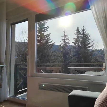 Dve Skije, Sisarka Appartamento