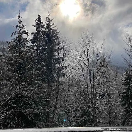 Dve Skije, Sisarka Appartamento Kopaonik