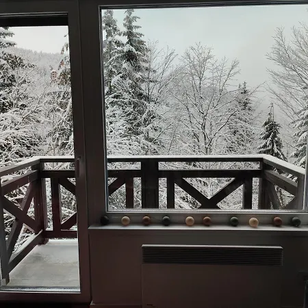 Dve Skije, Sisarka Appartamento Kopaonik