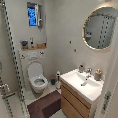 Διαμέρισμα Dve Skije, Sisarka