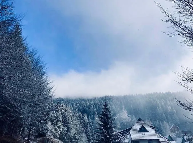 Διαμέρισμα Dve Skije, Sisarka *