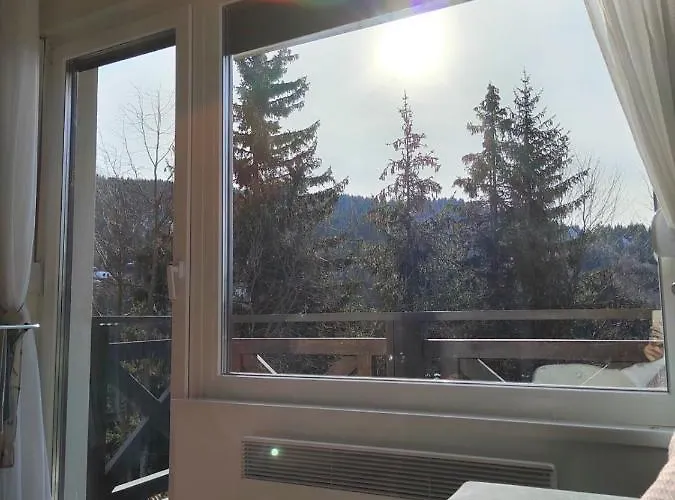 Dve Skije, Sisarka Διαμέρισμα