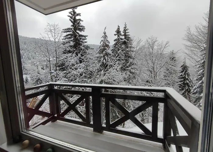 Dve Skije, Sisarka *