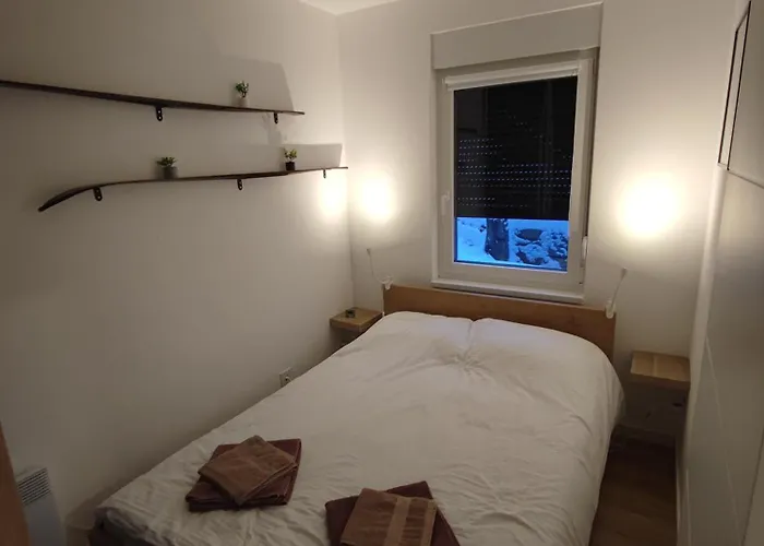 Dve Skije, Sisarka Διαμέρισμα Κοπαόνικ